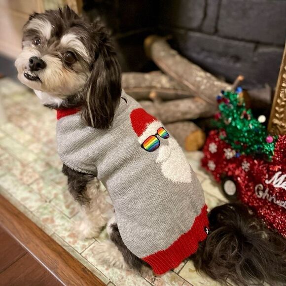 HOTEL DOGGY Pride Santa Dog Sweater, Red/Gray, Gay‎ Pride, Medium, NWT - Picture 1 of 14